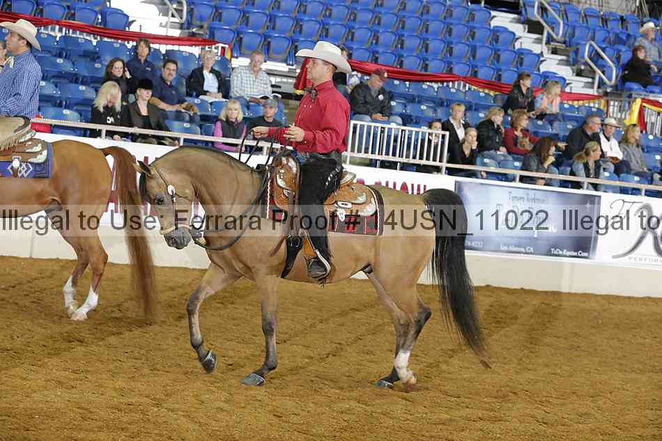 Proof 14usn_11022