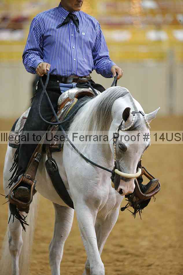 Proof 14usn_11023