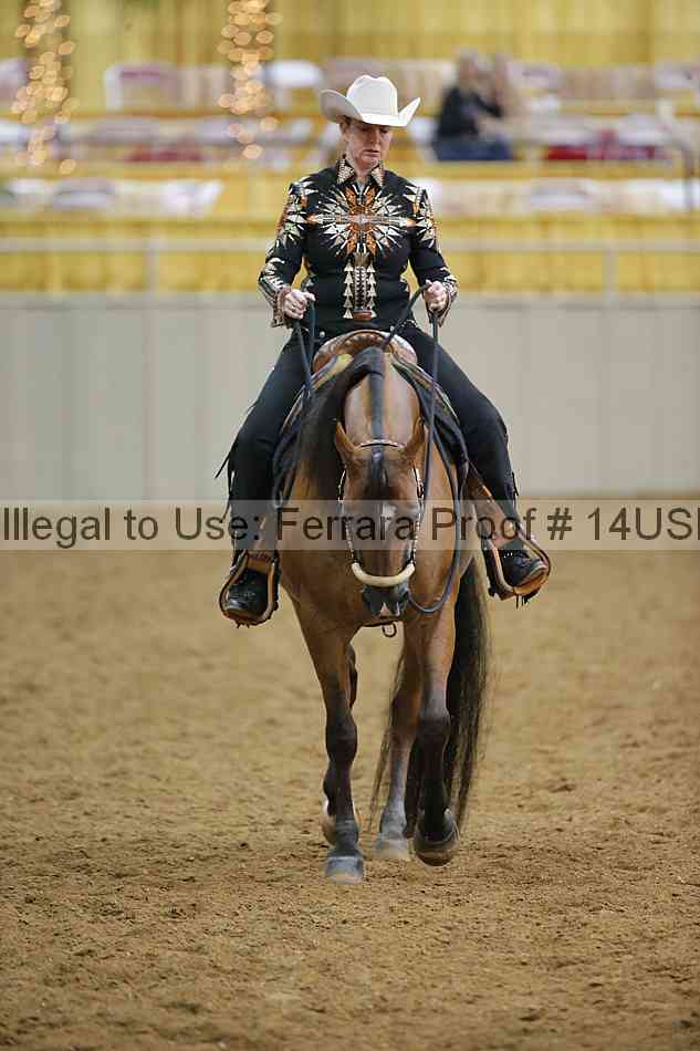 Proof 14usn_11025