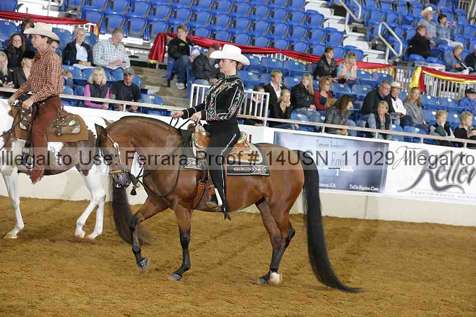 Proof 14usn_11029