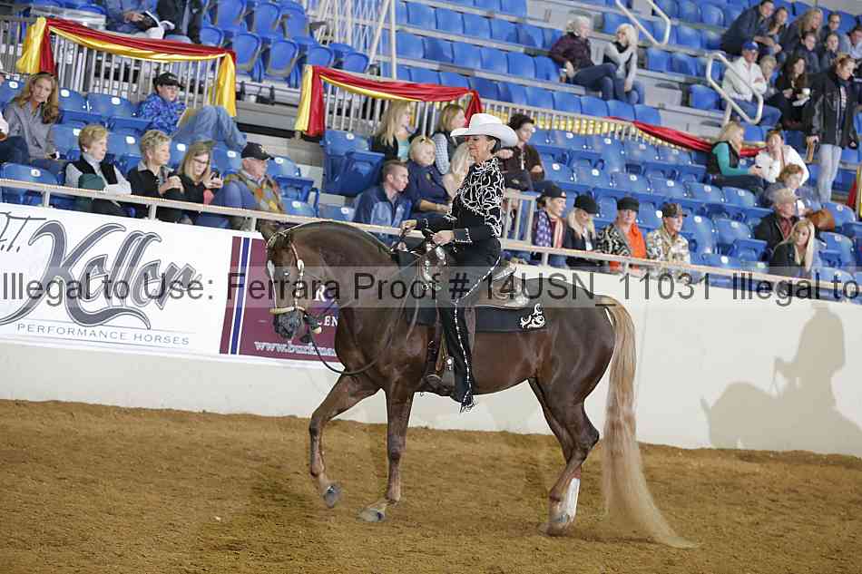 Proof 14usn_11031