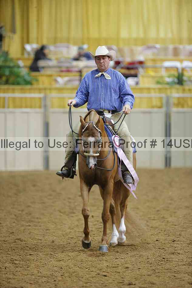 Proof 14usn_11036