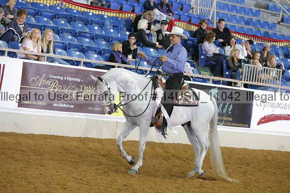 Proof 14usn_11042