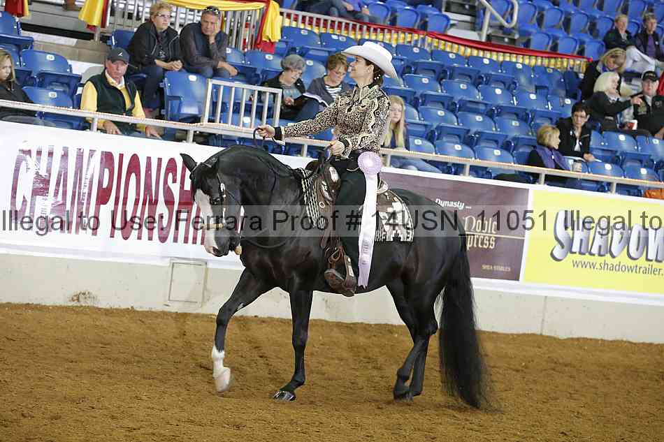 Proof 14usn_11051