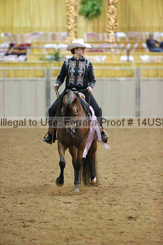 Proof 14usn_11057