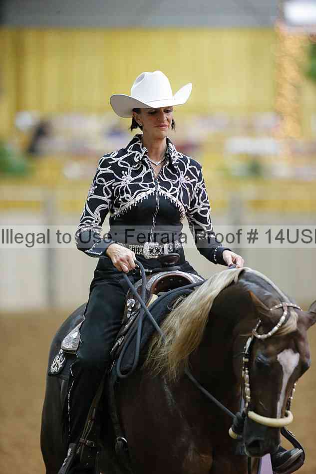Proof 14usn_11072