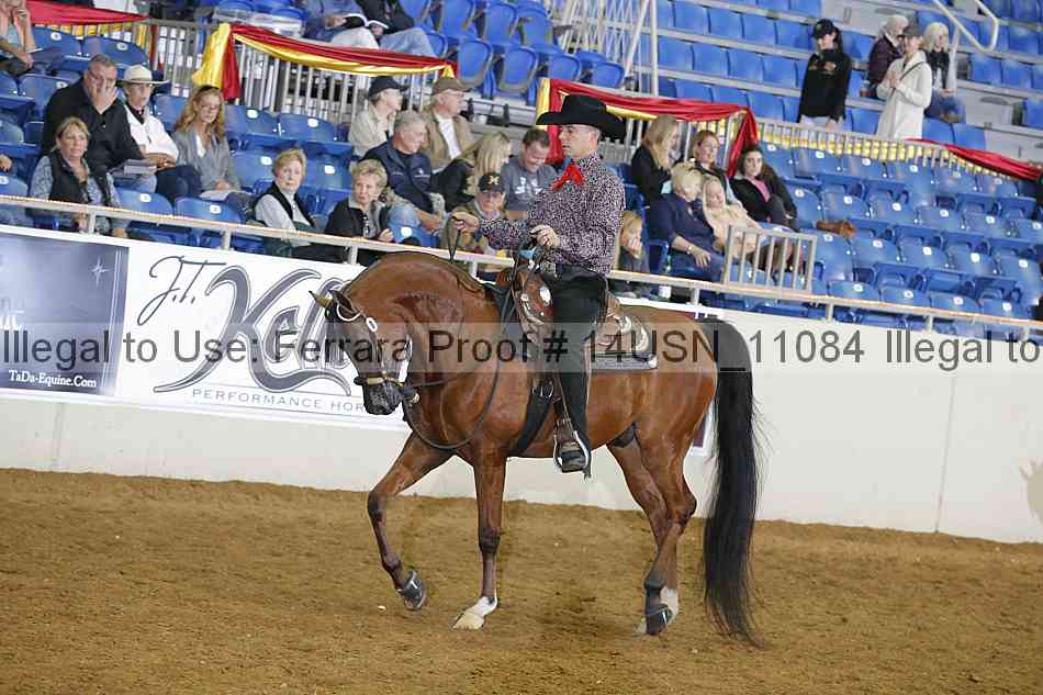 Proof 14usn_11084