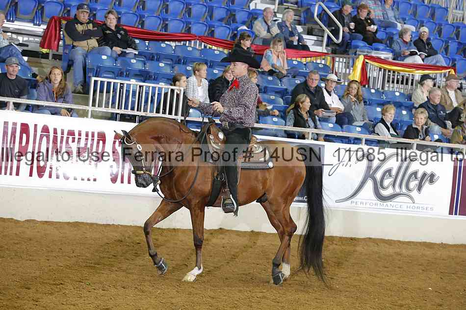 Proof 14usn_11085
