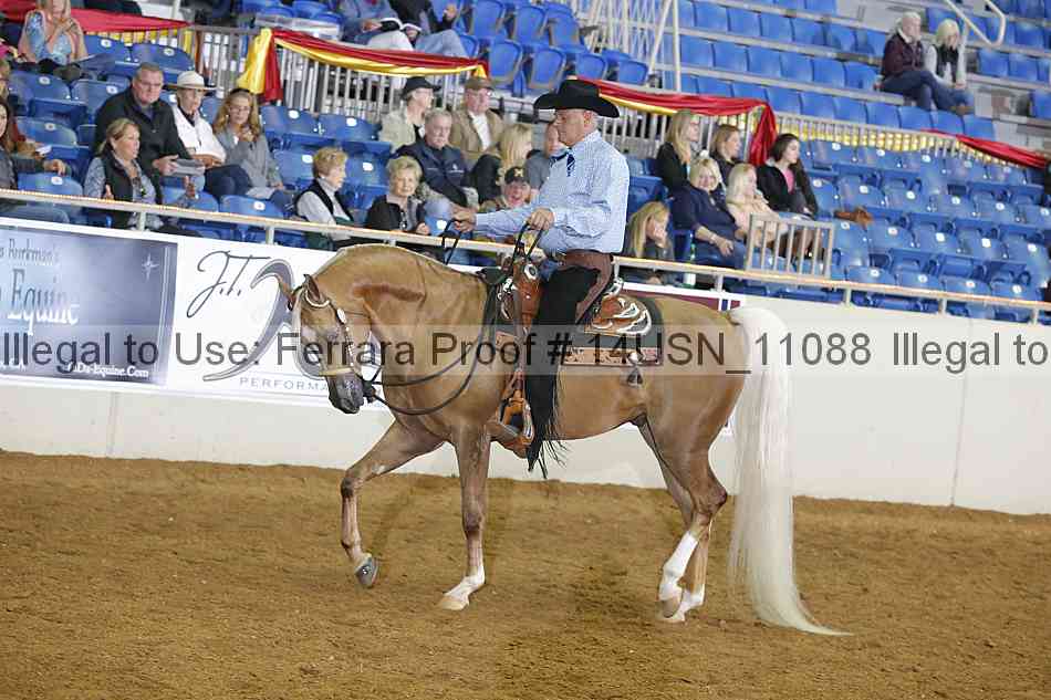Proof 14usn_11088