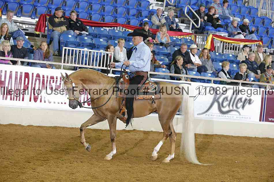 Proof 14usn_11089