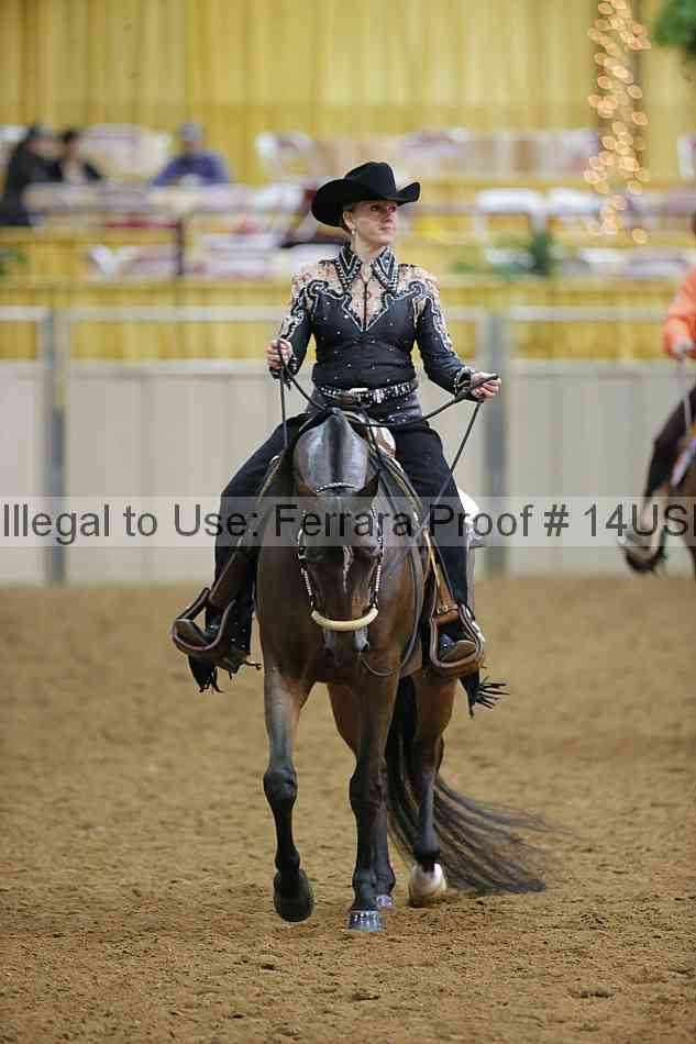 Proof 14usn_11090