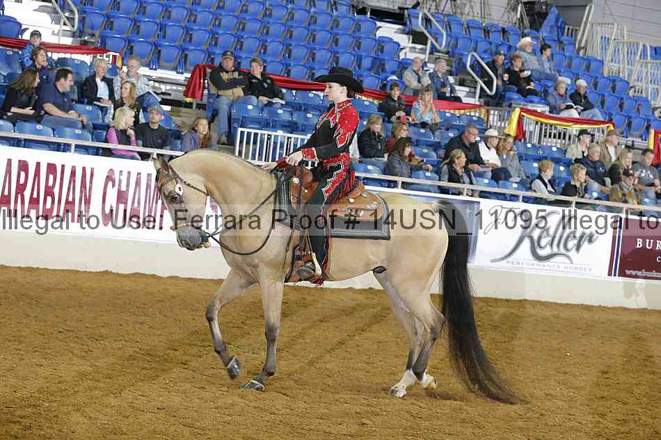 Proof 14usn_11095