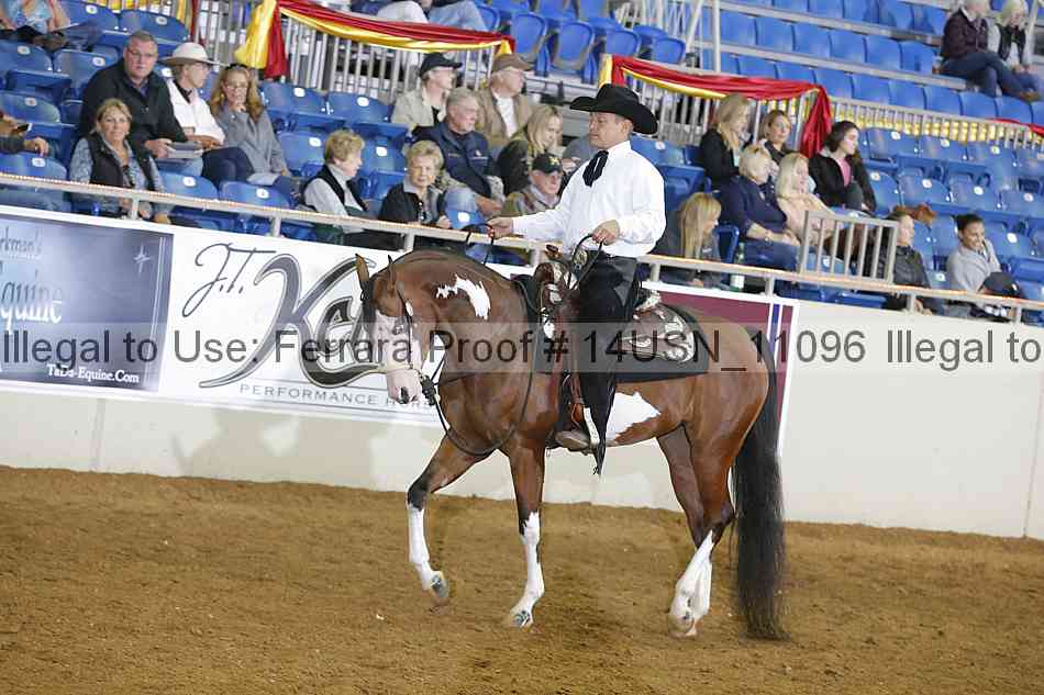 Proof 14usn_11096