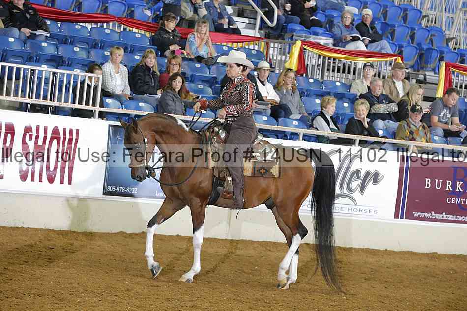 Proof 14usn_11102