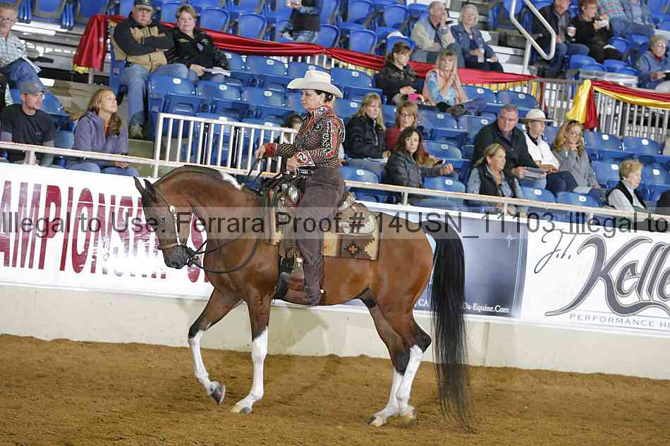 Proof 14usn_11103