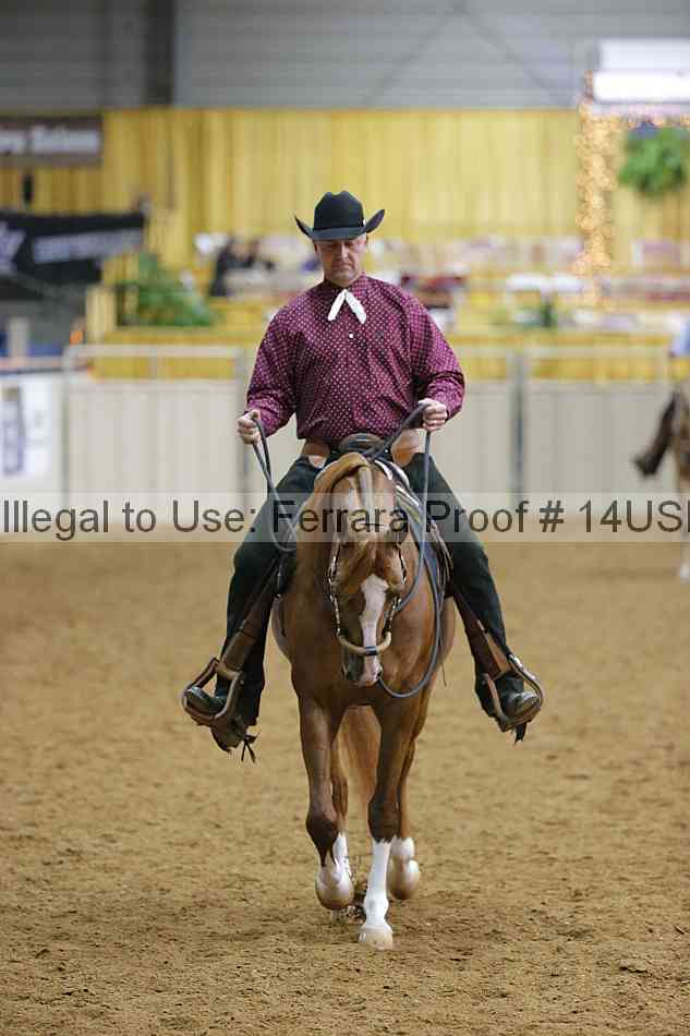 Proof 14usn_11105