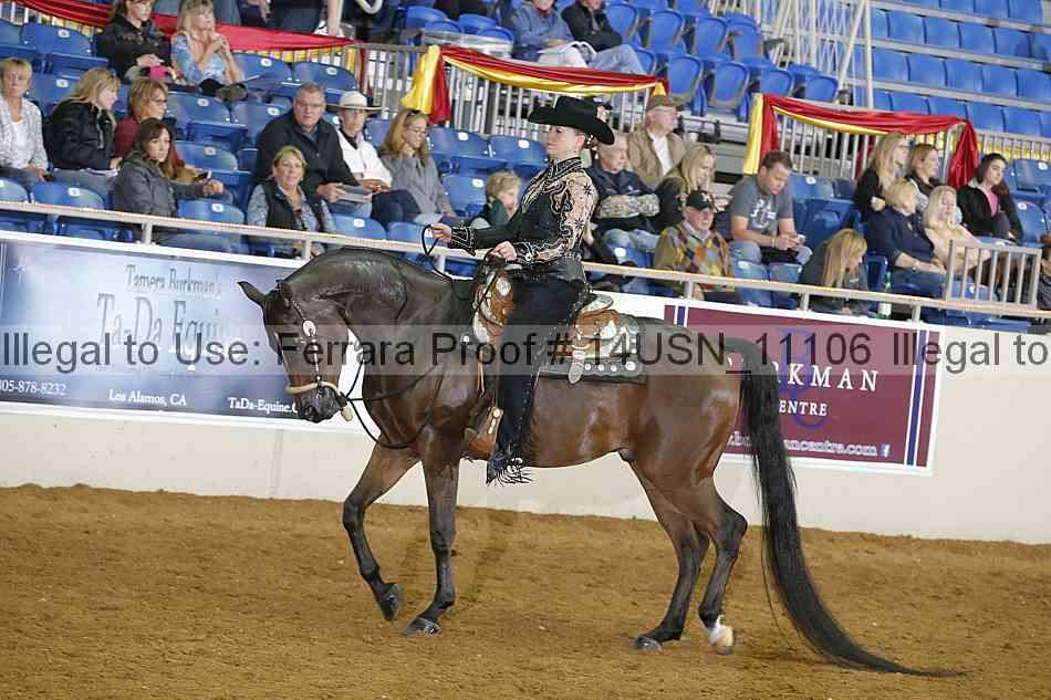 Proof 14usn_11106