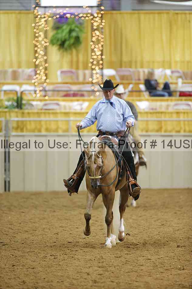 Proof 14usn_11107