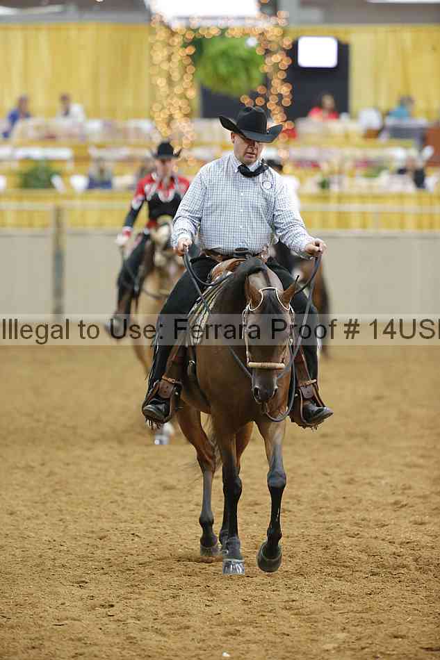 Proof 14usn_11108