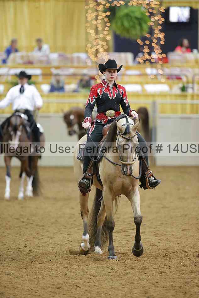Proof 14usn_11109