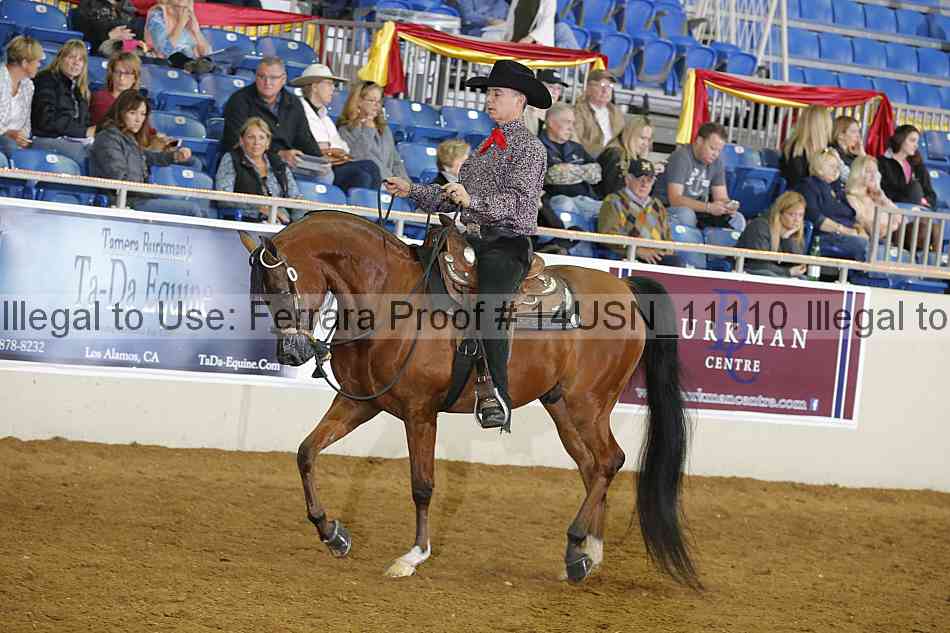Proof 14usn_11110