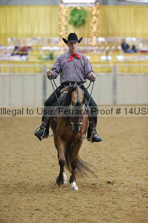 Proof 14usn_11126