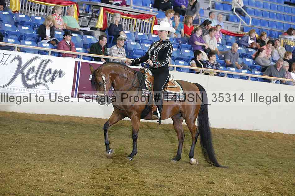 Proof 14usn_35314