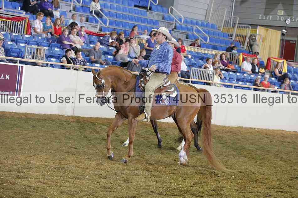 Proof 14usn_35316