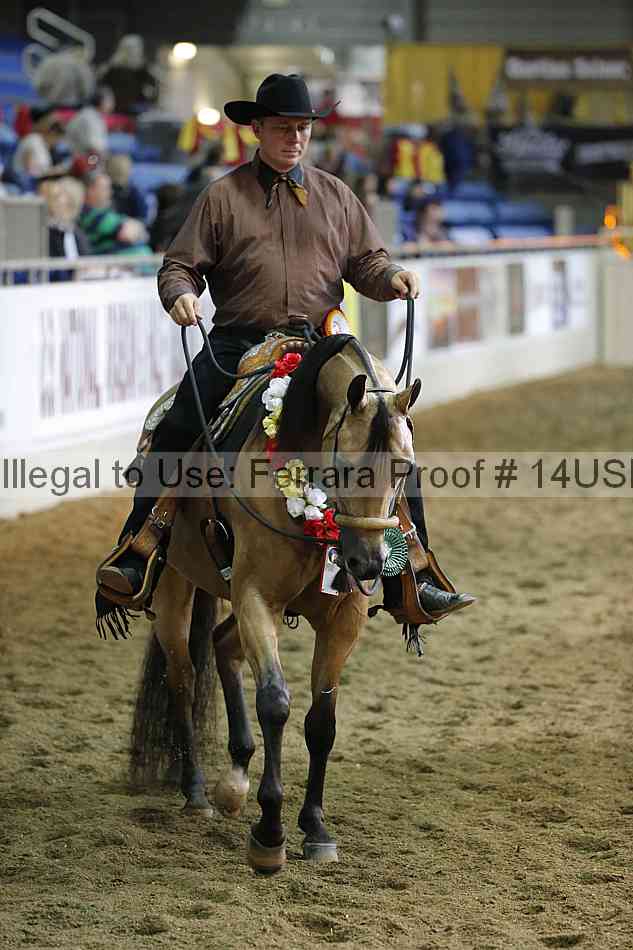 Proof 14usn_35417
