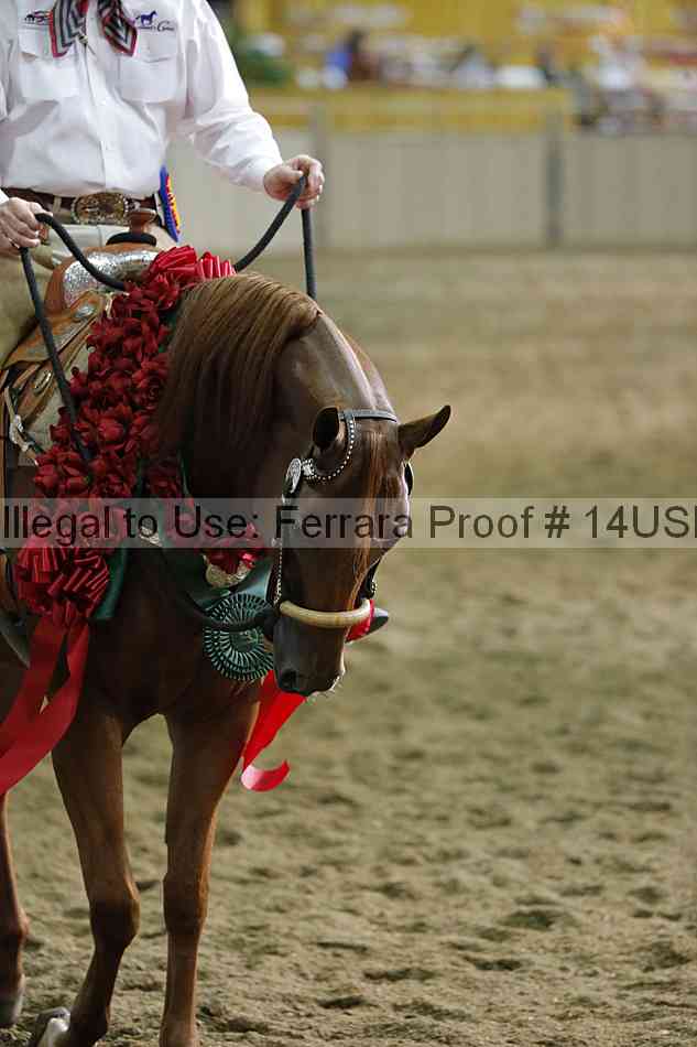Proof 14usn_35436