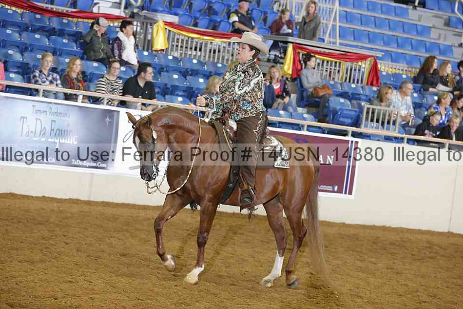 Proof 14usn_14380