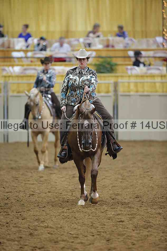 Proof 14usn_14388