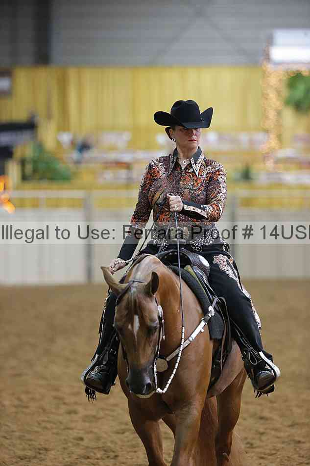 Proof 14usn_14390