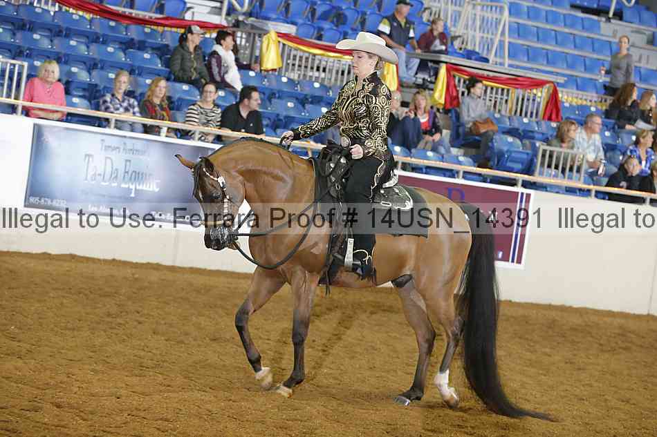 Proof 14usn_14391