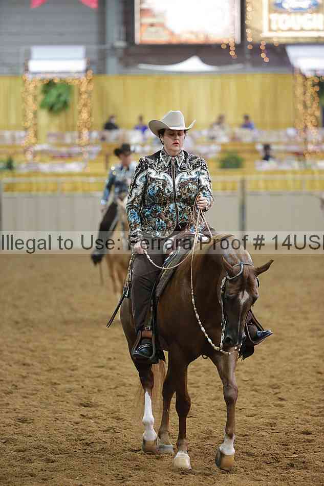 Proof 14usn_14393