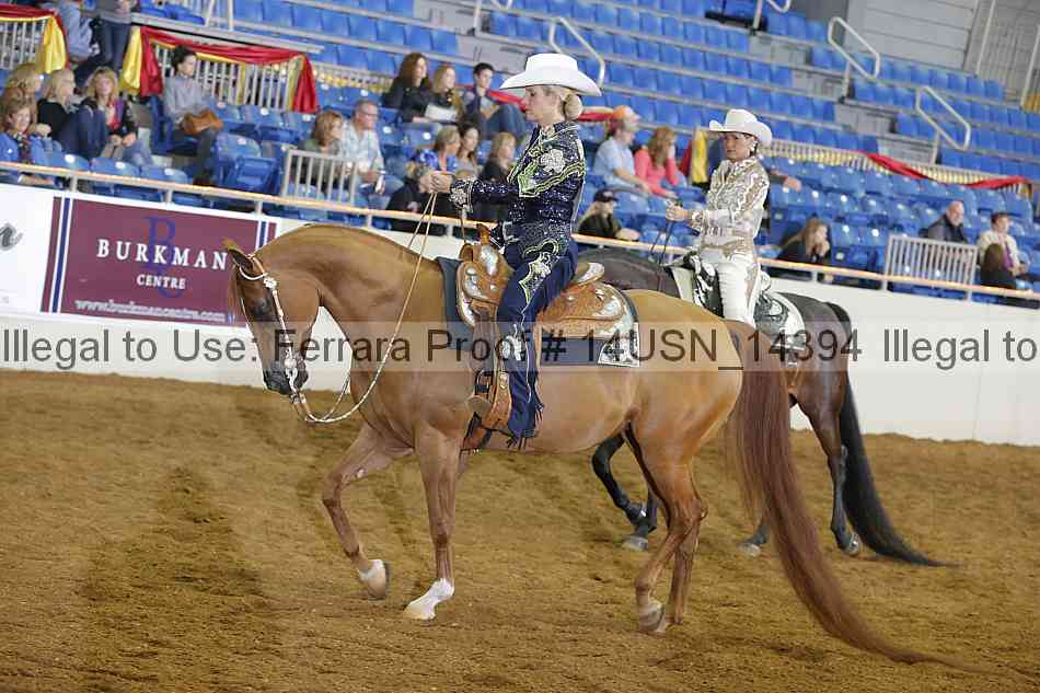 Proof 14usn_14394