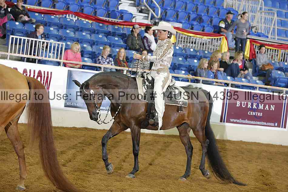 Proof 14usn_14395