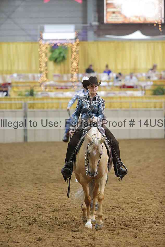 Proof 14usn_14396