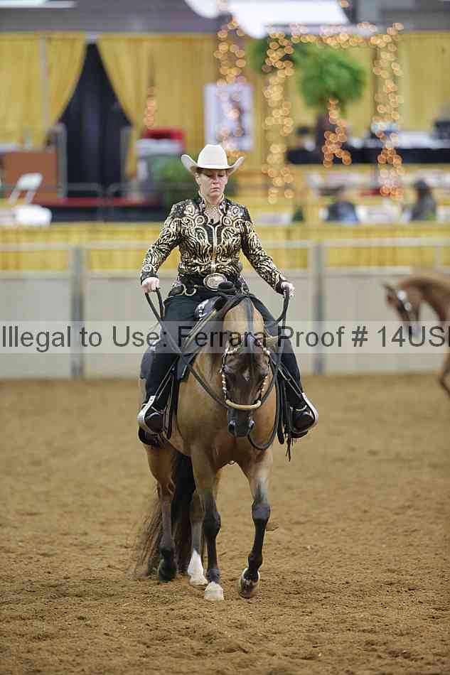 Proof 14usn_14406