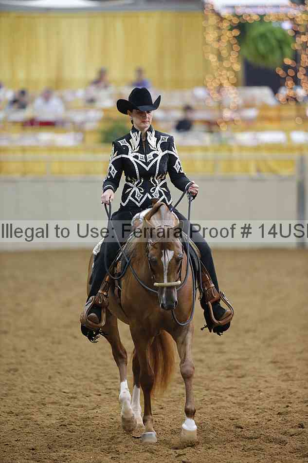 Proof 14usn_14407