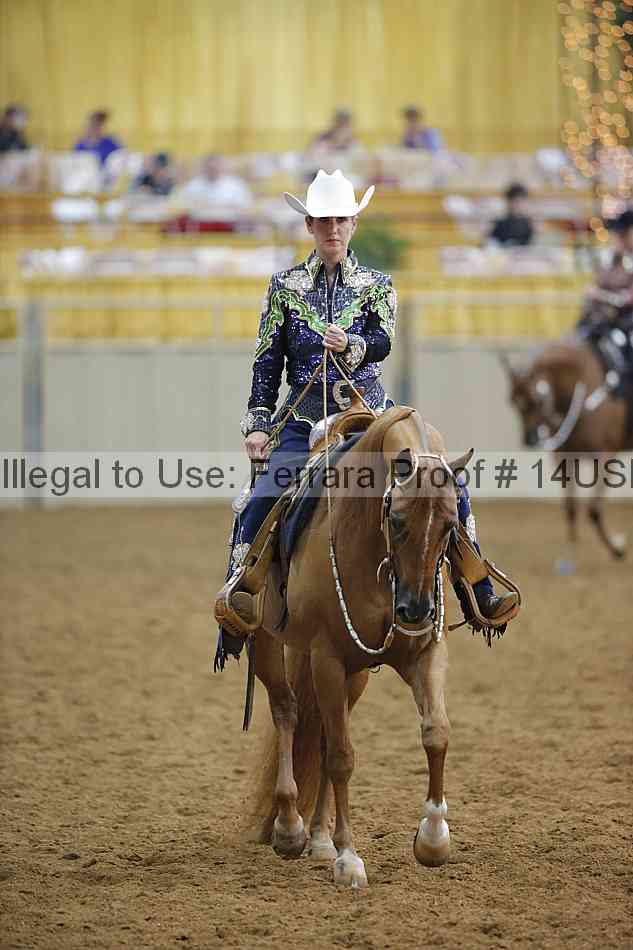 Proof 14usn_14413