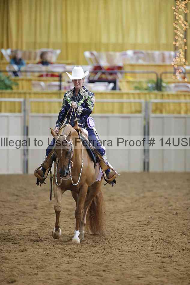 Proof 14usn_14429