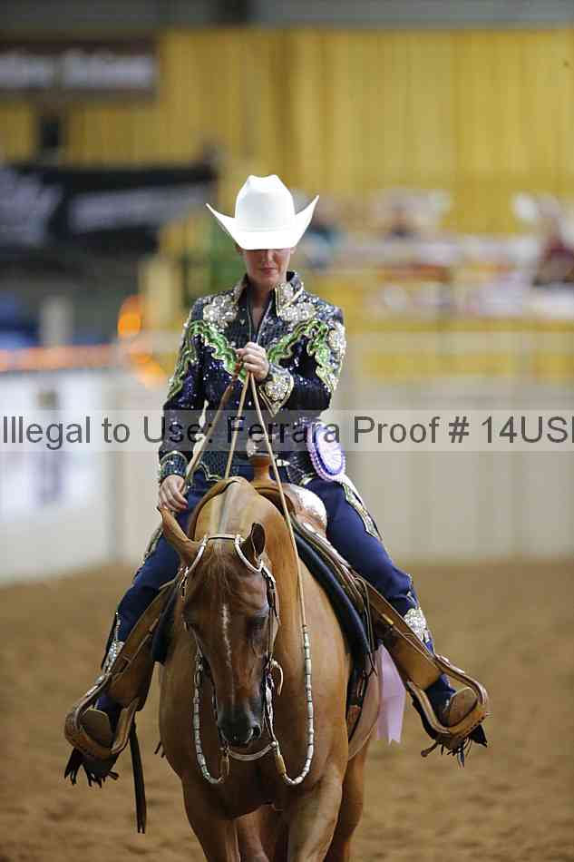 Proof 14usn_14431