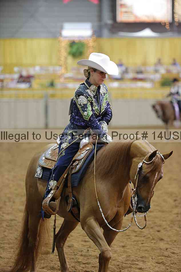 Proof 14usn_14433