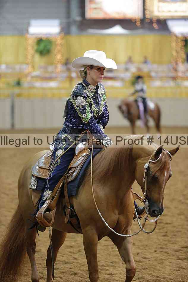 Proof 14usn_14434