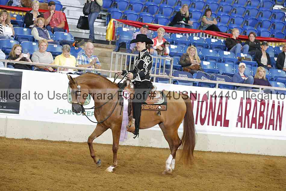 Proof 14usn_14440
