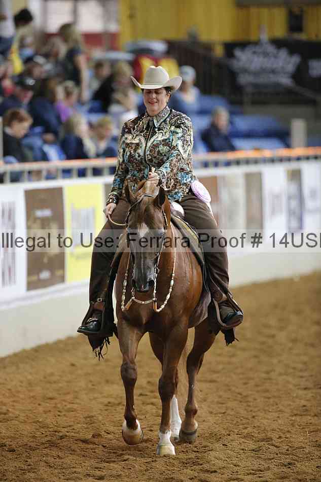 Proof 14usn_14451