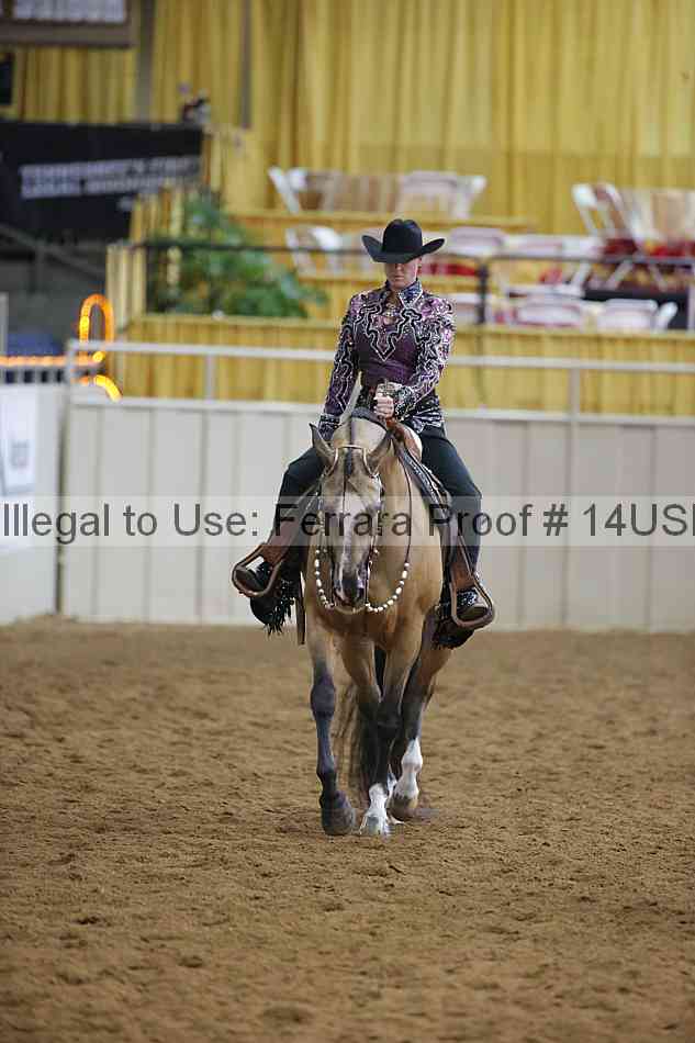 Proof 14usn_14492