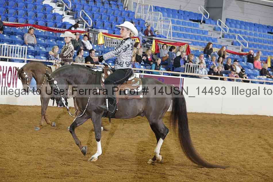 Proof 14usn_14493