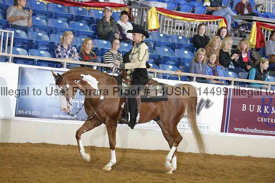 Proof 14usn_14499